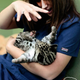 Illustration for article titled ZOMG NEW PICS OF BABY CLOUDED LEOPARD!!!